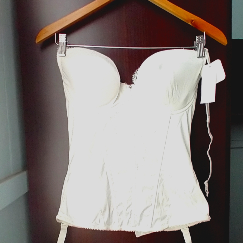 34DD/E Parfait by Affinitas strapless corset